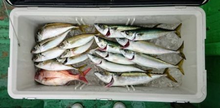 火遠理丸（ほおりまる） 釣果