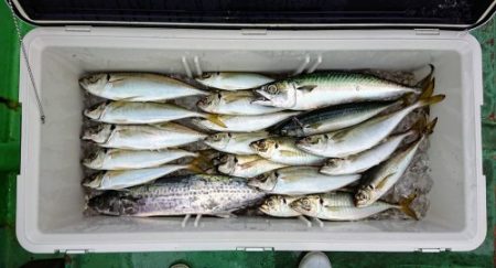 火遠理丸（ほおりまる） 釣果