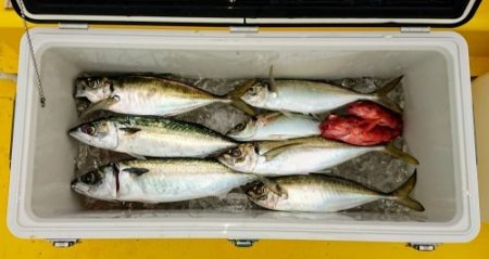 火遠理丸（ほおりまる） 釣果