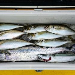 火遠理丸（ほおりまる） 釣果