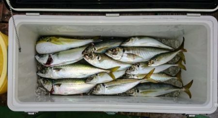 火遠理丸（ほおりまる） 釣果