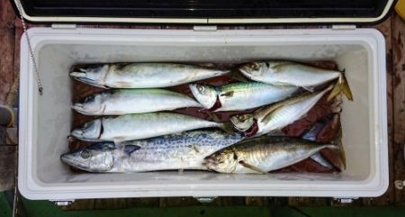 火遠理丸（ほおりまる） 釣果