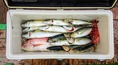 火遠理丸（ほおりまる） 釣果