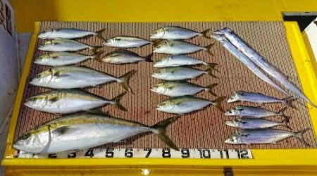 火遠理丸（ほおりまる） 釣果