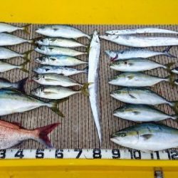 火遠理丸（ほおりまる） 釣果