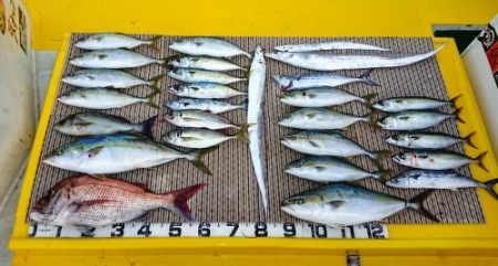 火遠理丸（ほおりまる） 釣果