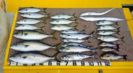 火遠理丸（ほおりまる） 釣果