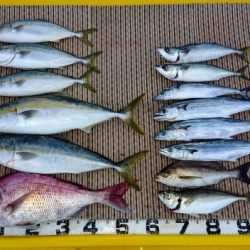 火遠理丸（ほおりまる） 釣果