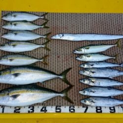 火遠理丸（ほおりまる） 釣果