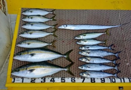 火遠理丸（ほおりまる） 釣果