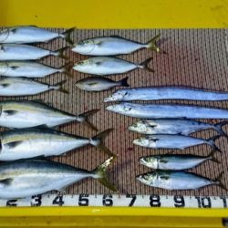 火遠理丸（ほおりまる） 釣果