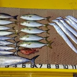 火遠理丸（ほおりまる） 釣果