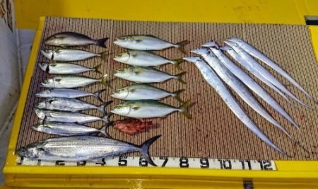 火遠理丸（ほおりまる） 釣果