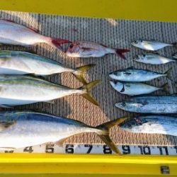 火遠理丸（ほおりまる） 釣果