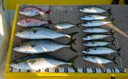 火遠理丸（ほおりまる） 釣果