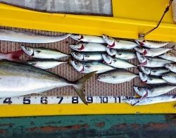 火遠理丸（ほおりまる） 釣果