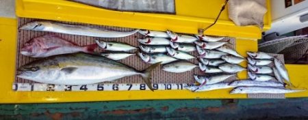 火遠理丸（ほおりまる） 釣果