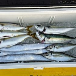 火遠理丸（ほおりまる） 釣果