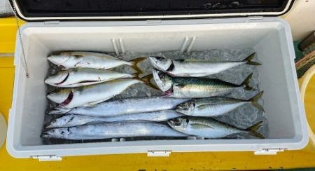 火遠理丸（ほおりまる） 釣果