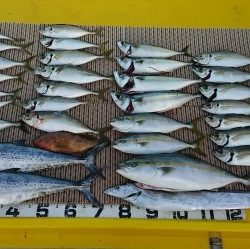 火遠理丸（ほおりまる） 釣果