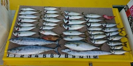 火遠理丸（ほおりまる） 釣果