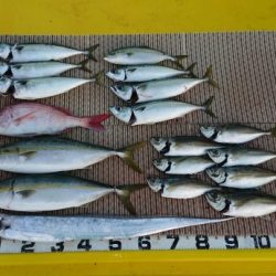 火遠理丸（ほおりまる） 釣果