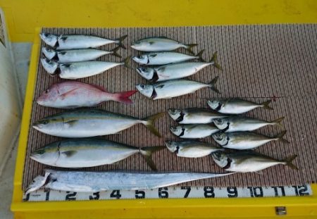 火遠理丸（ほおりまる） 釣果