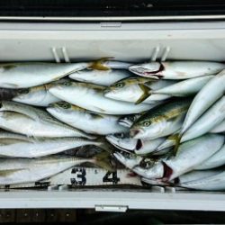 火遠理丸（ほおりまる） 釣果