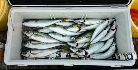 火遠理丸（ほおりまる） 釣果