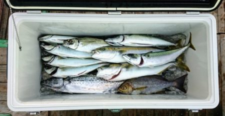 火遠理丸（ほおりまる） 釣果