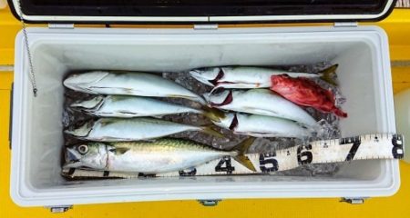 火遠理丸（ほおりまる） 釣果