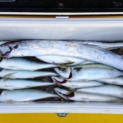 火遠理丸（ほおりまる） 釣果