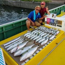 火遠理丸（ほおりまる） 釣果