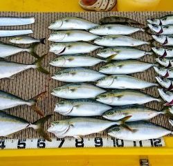 火遠理丸（ほおりまる） 釣果