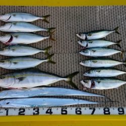 火遠理丸（ほおりまる） 釣果