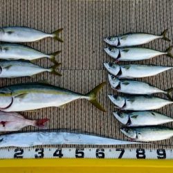 火遠理丸（ほおりまる） 釣果