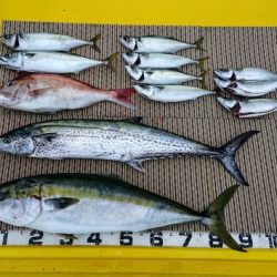 火遠理丸（ほおりまる） 釣果