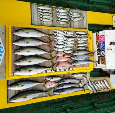 火遠理丸（ほおりまる） 釣果