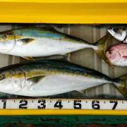 火遠理丸（ほおりまる） 釣果