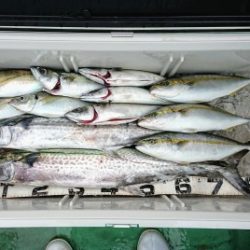 火遠理丸（ほおりまる） 釣果