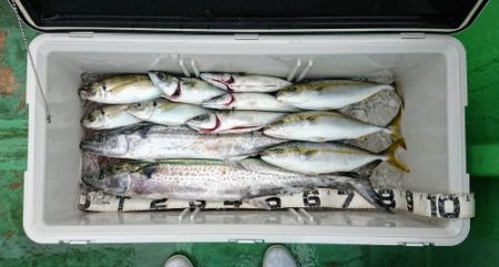 火遠理丸（ほおりまる） 釣果