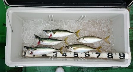 火遠理丸（ほおりまる） 釣果