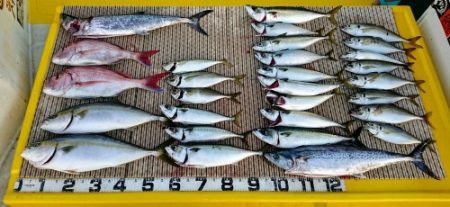 火遠理丸（ほおりまる） 釣果