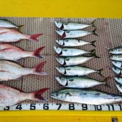 火遠理丸（ほおりまる） 釣果