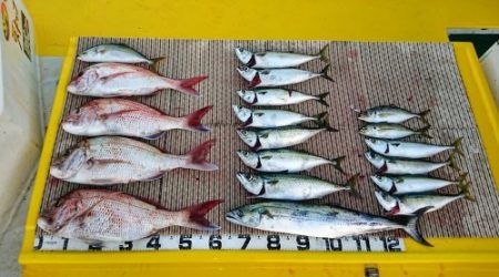 火遠理丸（ほおりまる） 釣果