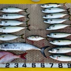 火遠理丸（ほおりまる） 釣果