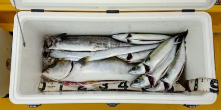 火遠理丸（ほおりまる） 釣果