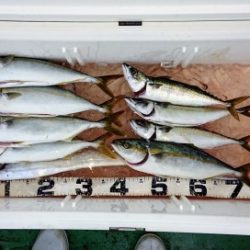 火遠理丸（ほおりまる） 釣果