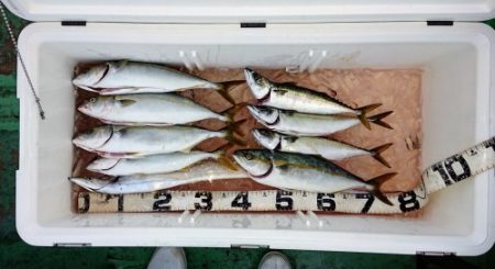 火遠理丸（ほおりまる） 釣果