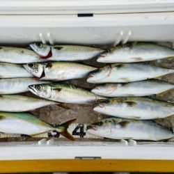 火遠理丸（ほおりまる） 釣果